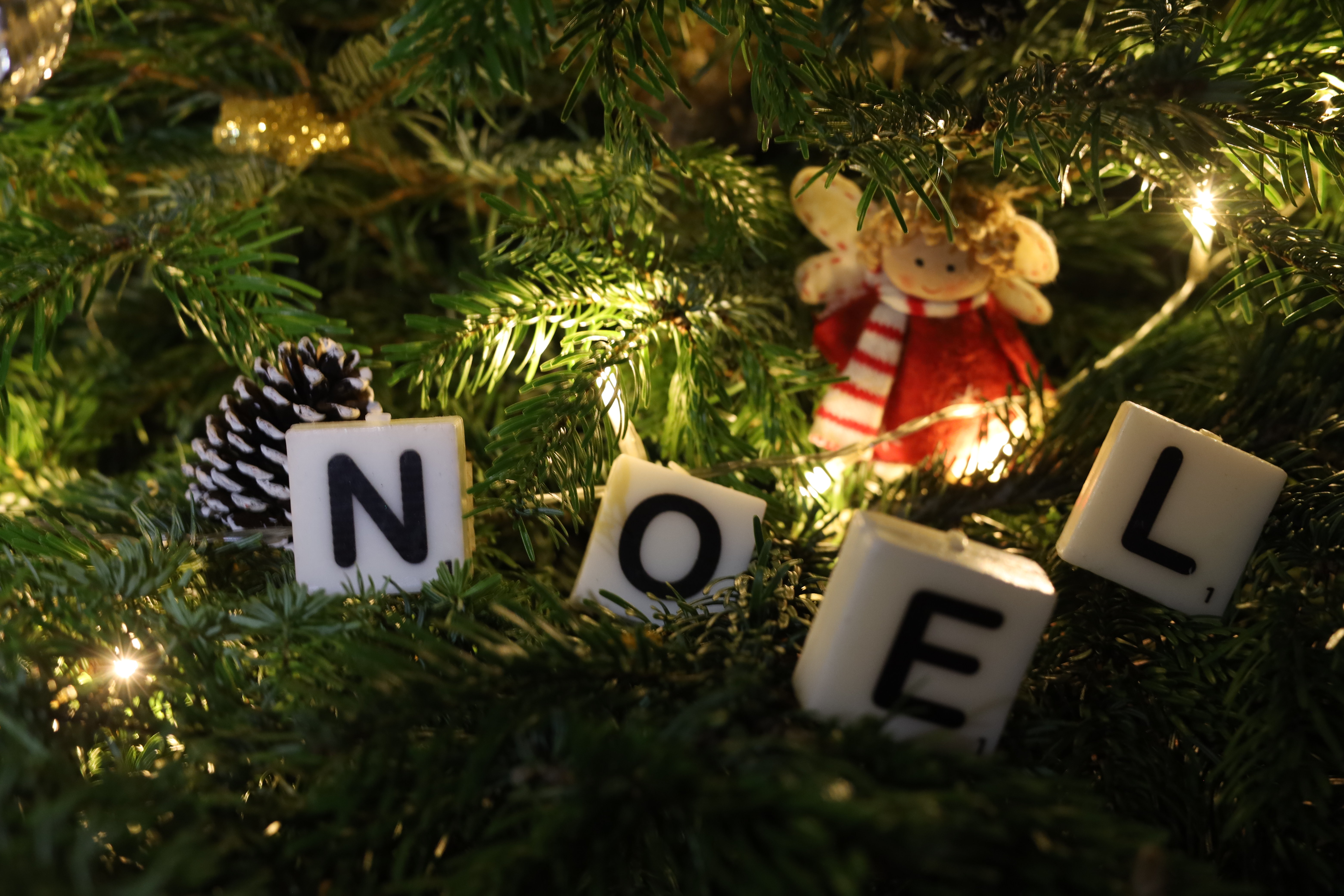 Après noel seance photo